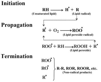 oxidación lipídica