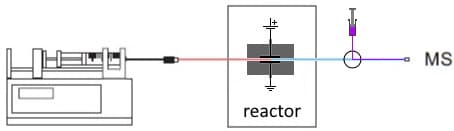 Conjugaison EC MS