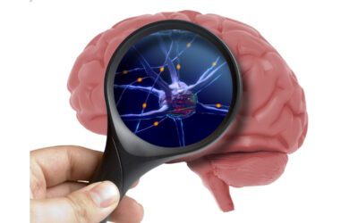 Neurotransmitter analysis